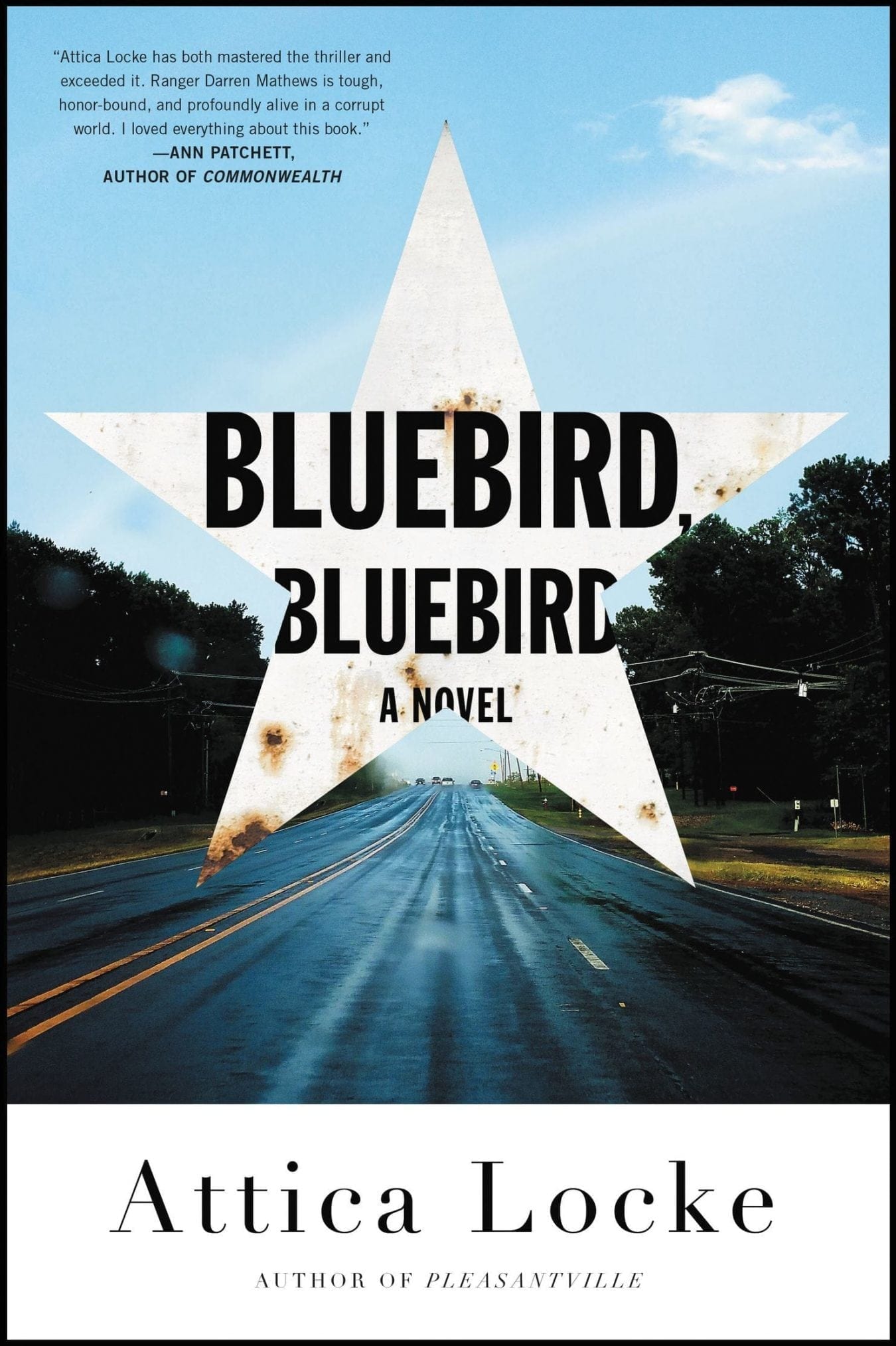 bluebird bluebird locke