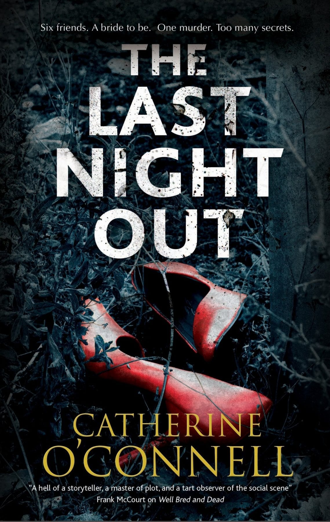 The Last Night Out by Catherine O’Connell