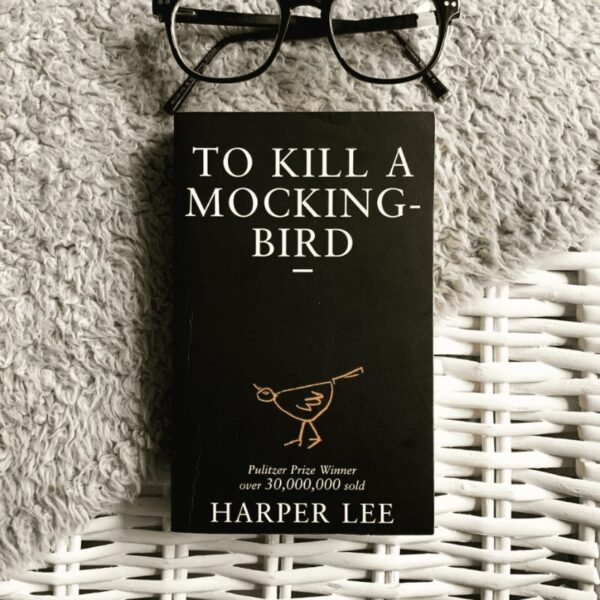 to kill a mockingbird book review quizlet
