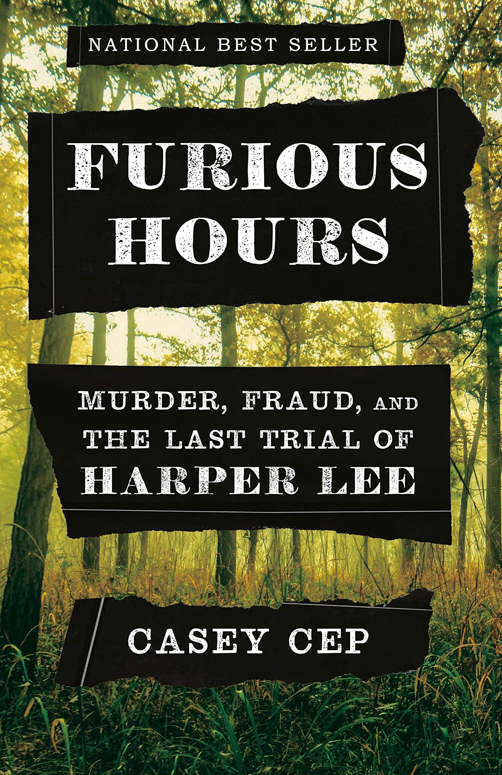 Cover of Furious Hours: Murder, Fraud, and The Last Trial of Harper Lee by Casey Cep