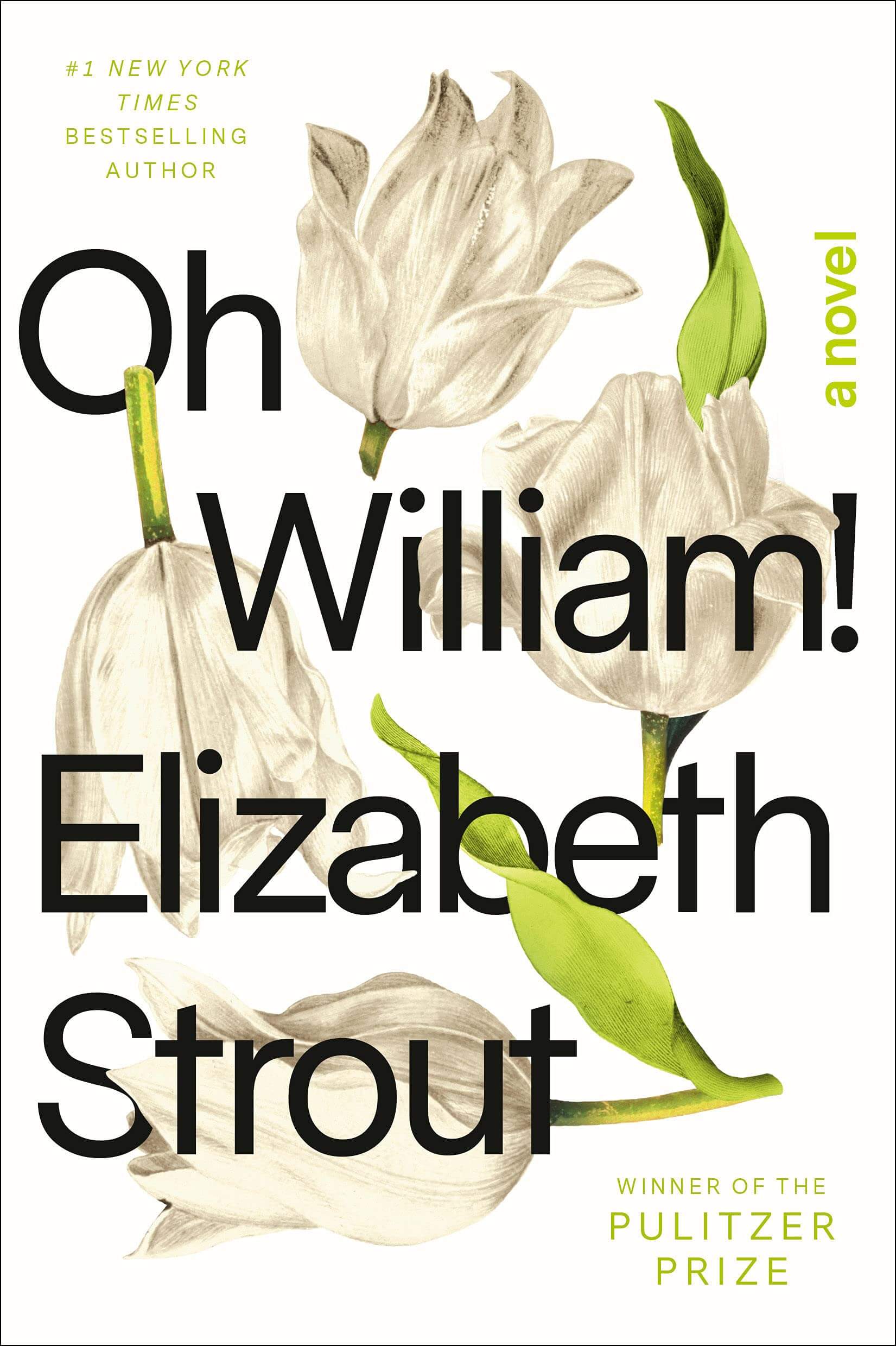 Oh William ElizabethStrout