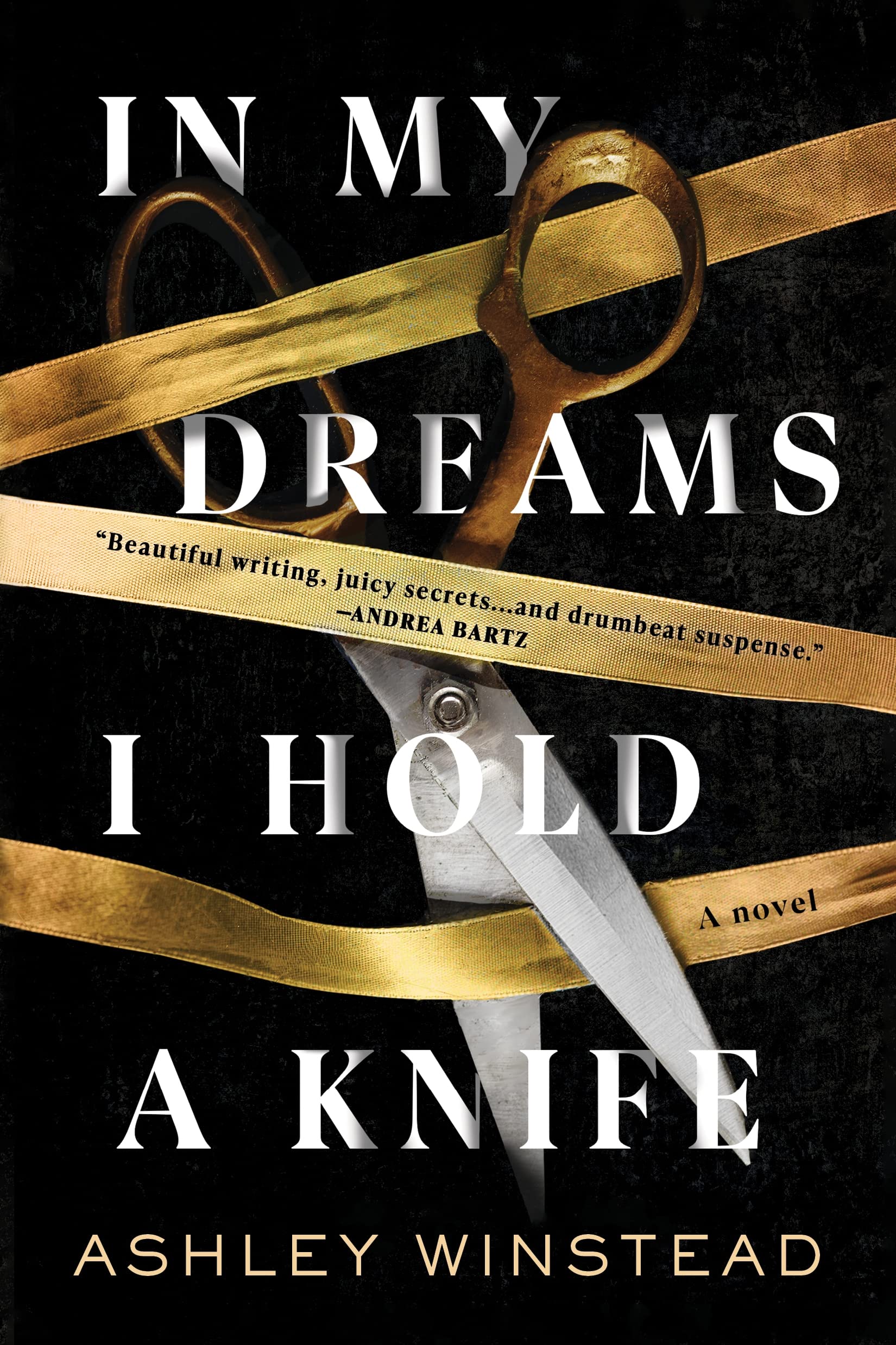 Cover of In My Dreams I Hold a Knife by Ashley Winstead 