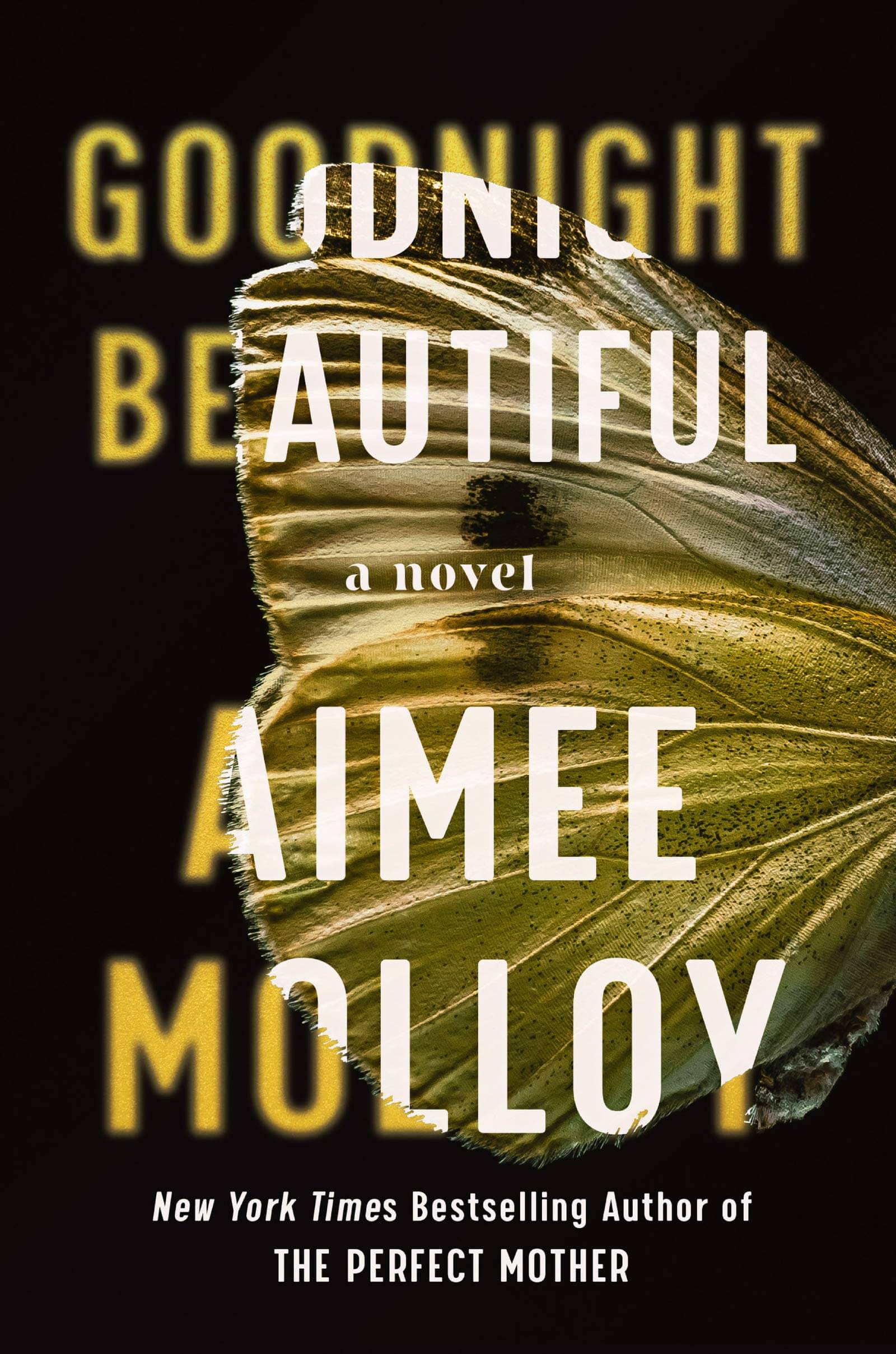 Cover of Goodnight Beautiful by Aimee Molloy