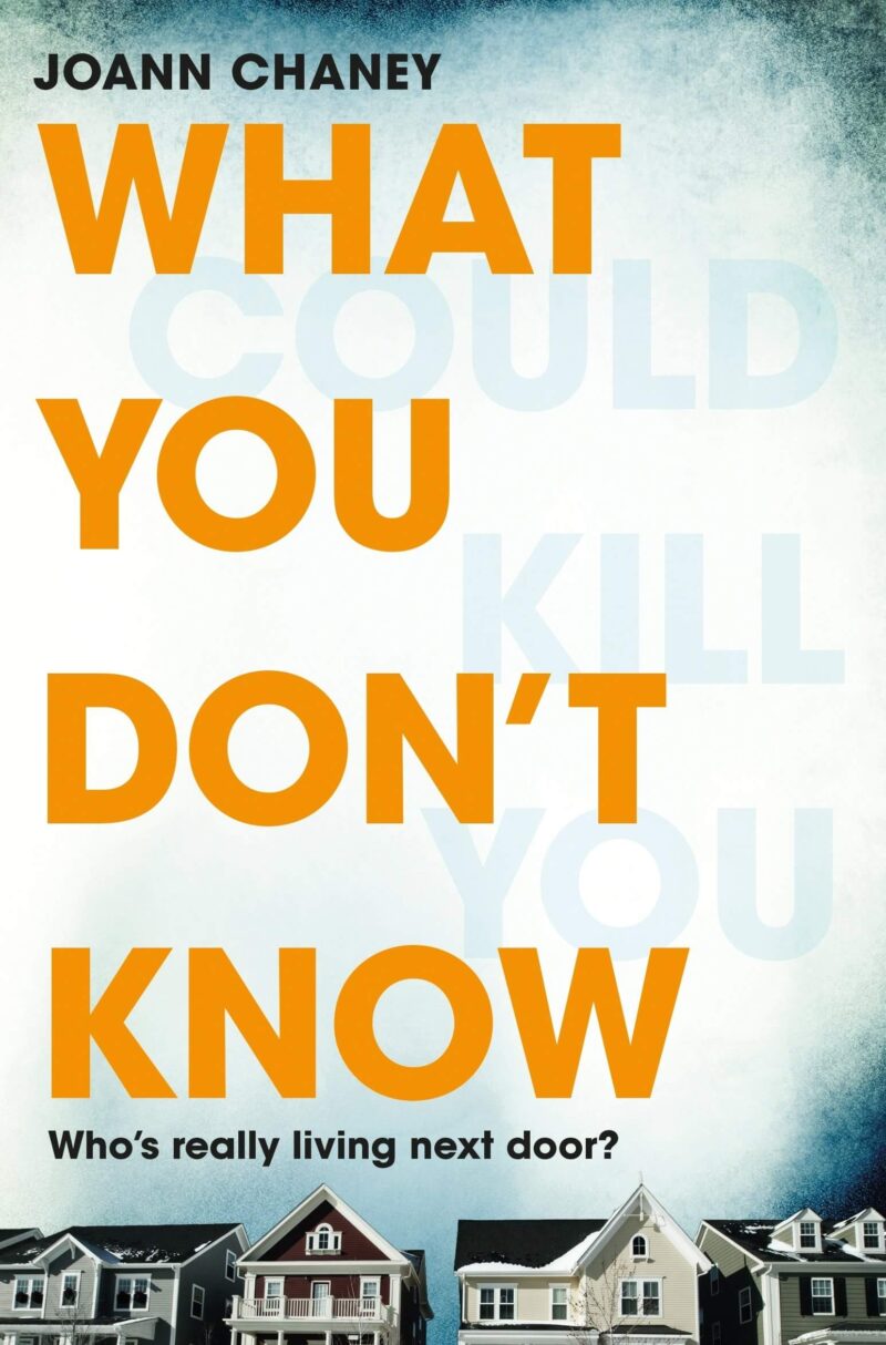 Cover of What You Don't Know by Joann Chaney 
