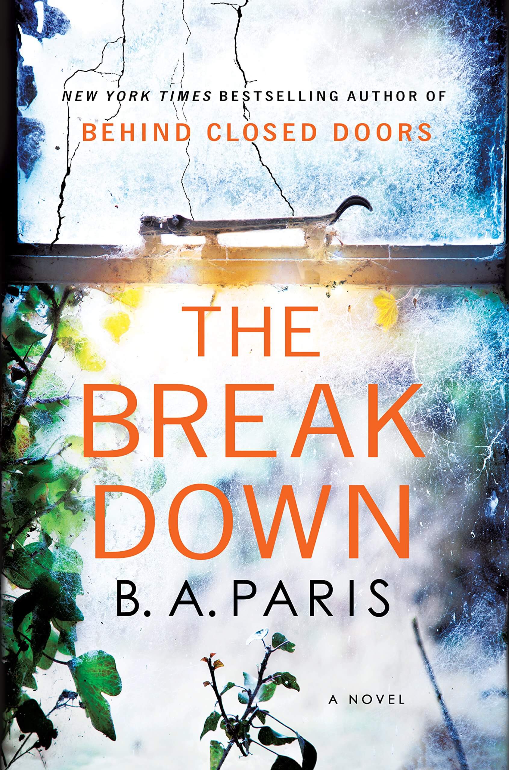 Cover of The Breakdown by B.A. Paris 