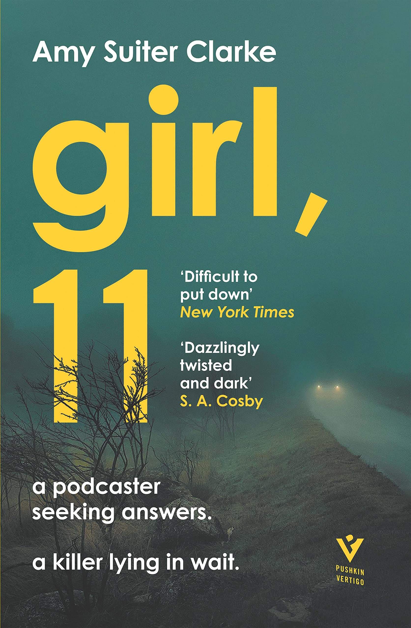 Cover of Girl, 11 by Amy Suiter Clarke 