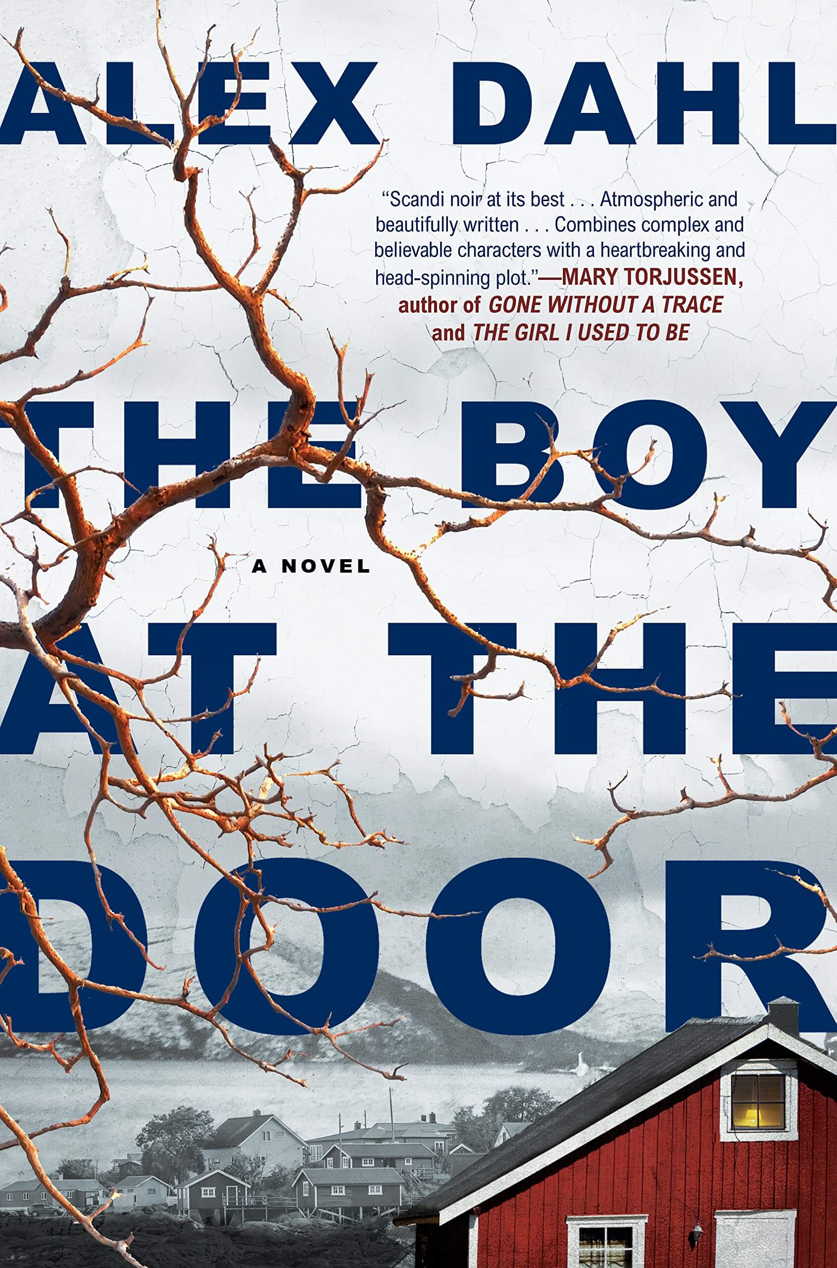 Cover of The Boy At The Door by Alex Dahl 