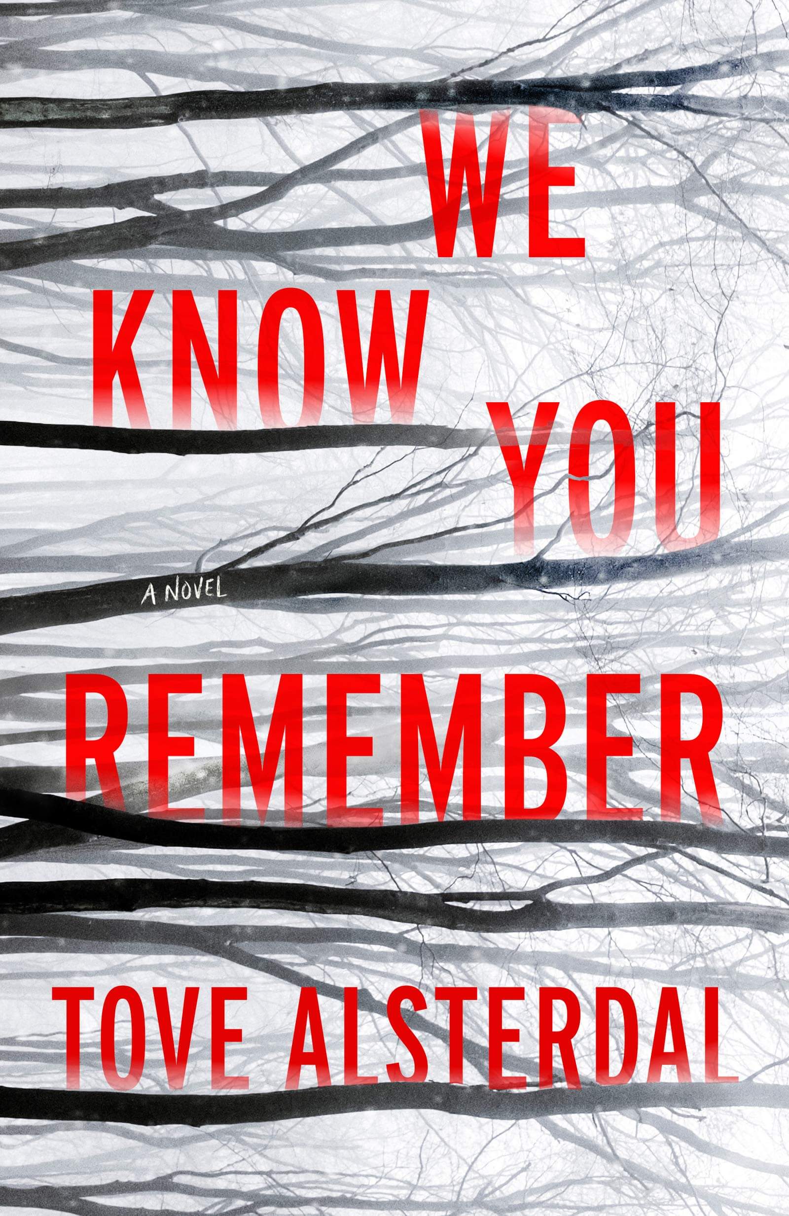 Cover of We Know You Remember by Tove Alsterdal 