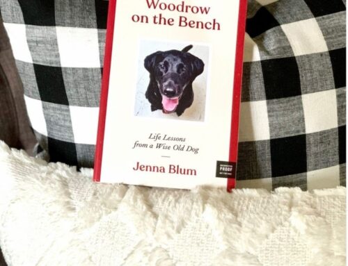 Jenna Blum on Woodrow on the Bench