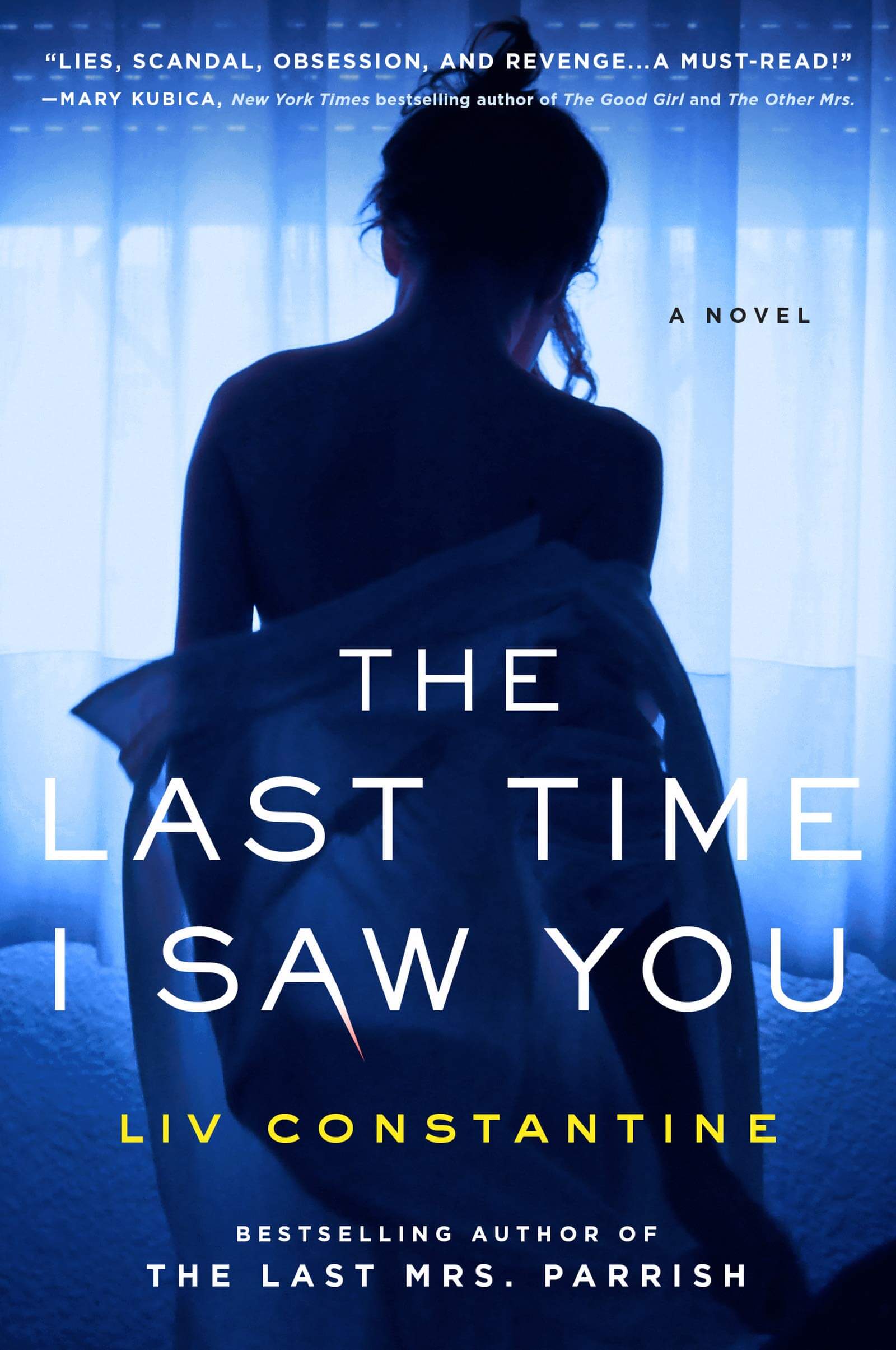 Cover of The Last Time I Saw You by Liv Constantine
