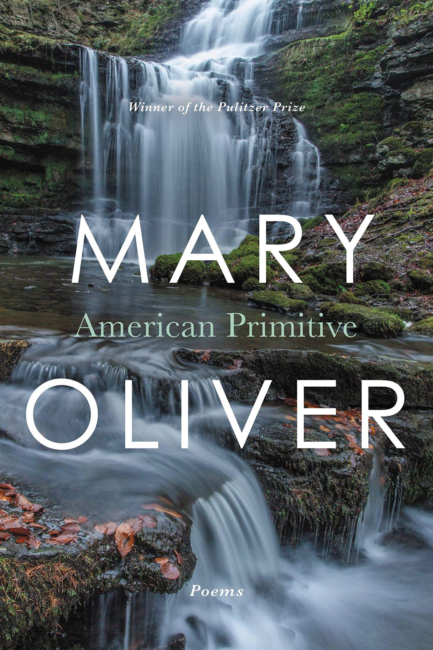Cover of American Primitive by Mary Oliver 
