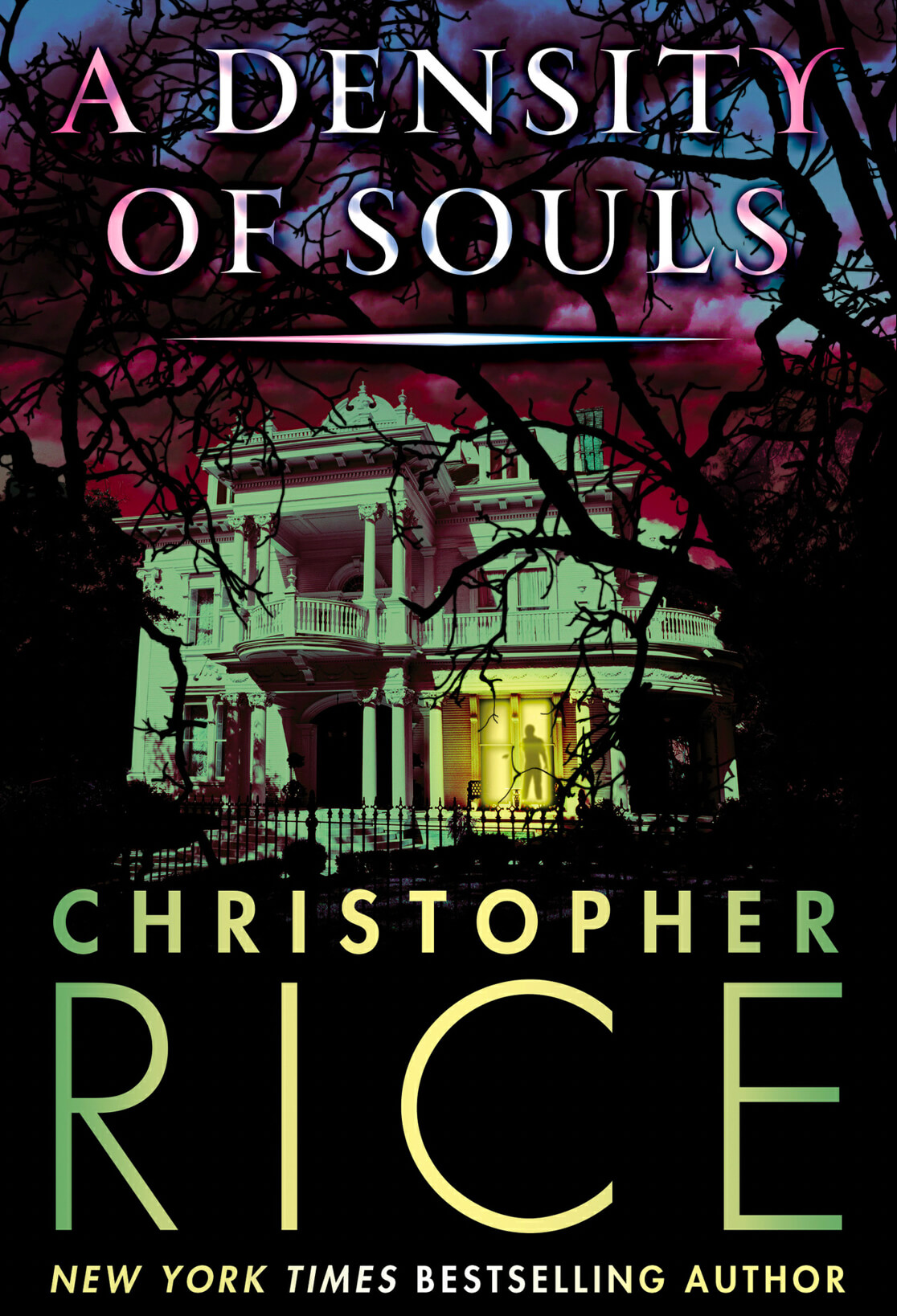 Cover of A Density of Souls by Christopher Rice