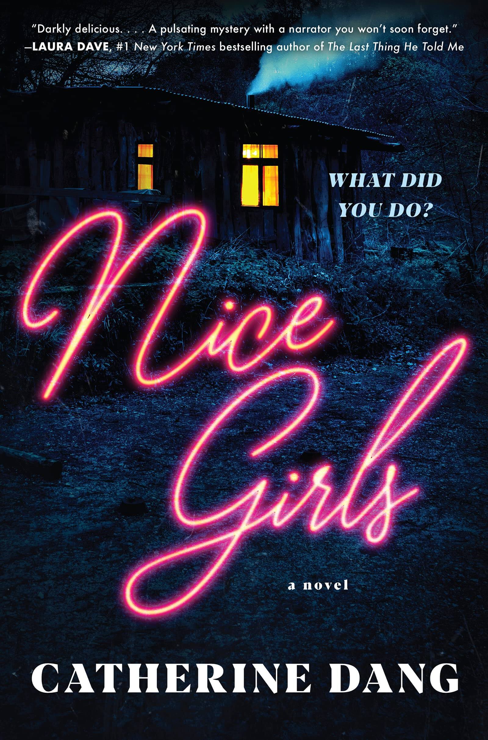 Cover of Nice Girls by Catherine Dang