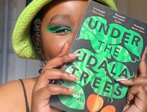 9 Intriguing Books Featuring Strong Nigerian Female Protagonists