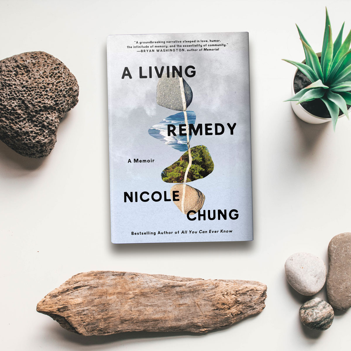 Stylized photo of A Living Remedy by Nicole Chung