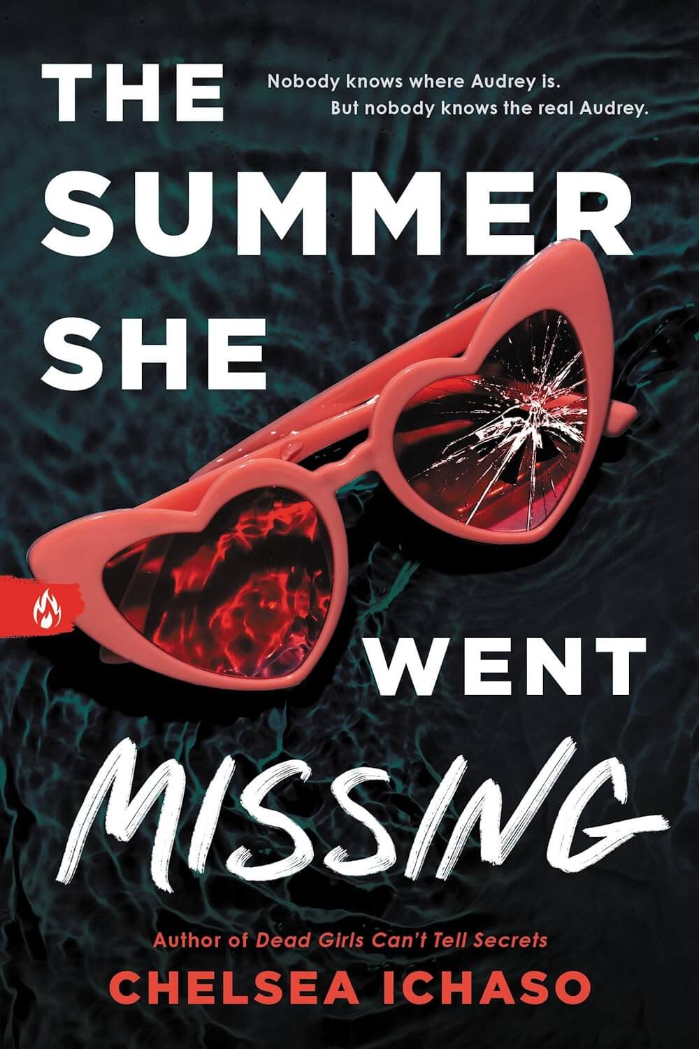 The Summer She Went Missing