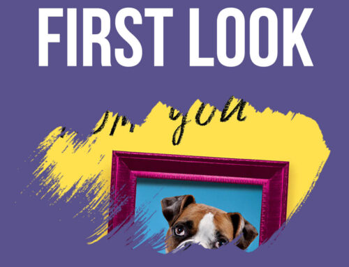 First Look: Things I Want Back from You by Elizabeth Stix
