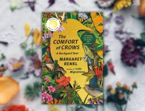 Beautiful Nature-Centered Books like The Comfort of Crows