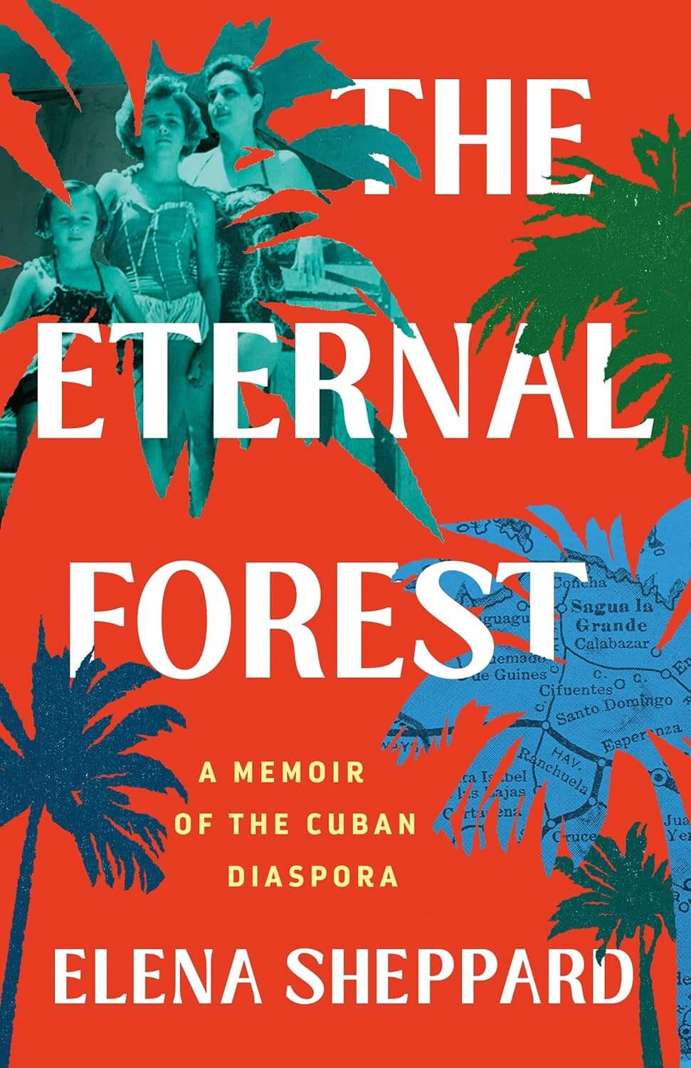 The Eternal Forest