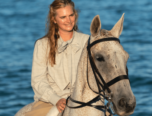 From Influencer to Author: Callie Coles’ Discusses Tangled Webs and Storytelling in Many Forms